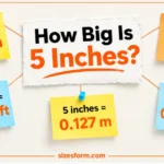 How Big Is 5 Inches